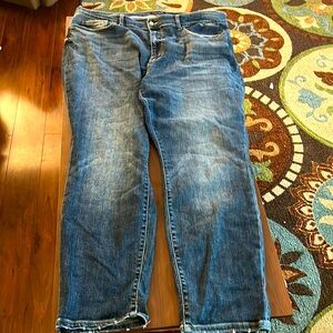 Judy Blue size 22 boyfriend fit jean